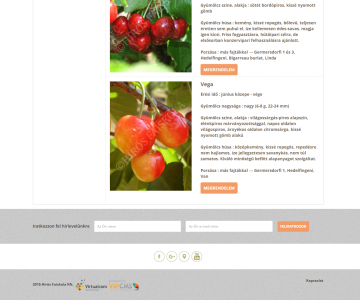 Hírös Faiskola Kft 4. kép