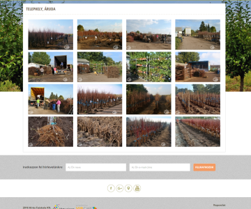 Hírös Faiskola Kft 8. kép