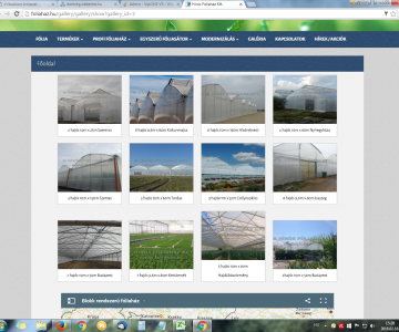 Hírös Fóliaház Kft 10. kép